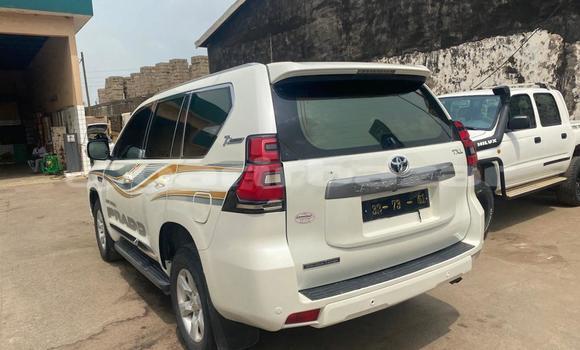 Acheter Import Voiture Toyota Land Cruiser Prado Blanc à Douala, Littoral Cameroon Acheter Import Voiture Toyota Land Cruiser Prado Blanc à Douala, Littoral Cameroon