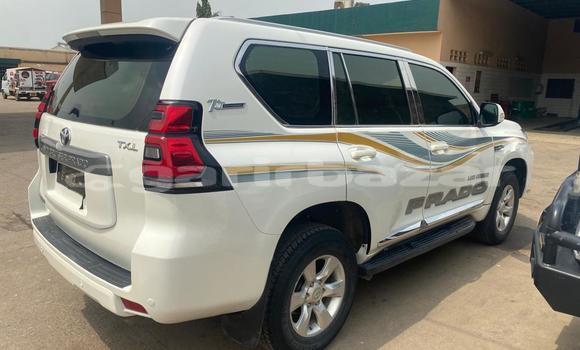 Acheter Import Voiture Toyota Land Cruiser Prado Blanc à Douala, Littoral Cameroon Acheter Import Voiture Toyota Land Cruiser Prado Blanc à Douala, Littoral Cameroon