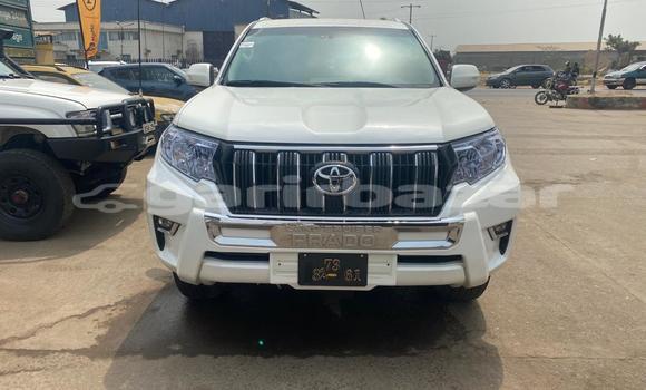 Acheter Import Voiture Toyota Land Cruiser Prado Blanc à Douala, Littoral Cameroon Acheter Import Voiture Toyota Land Cruiser Prado Blanc à Douala, Littoral Cameroon