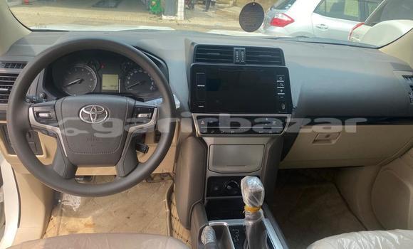 Acheter Import Voiture Toyota Land Cruiser Prado Blanc à Douala, Littoral Cameroon Acheter Import Voiture Toyota Land Cruiser Prado Blanc à Douala, Littoral Cameroon