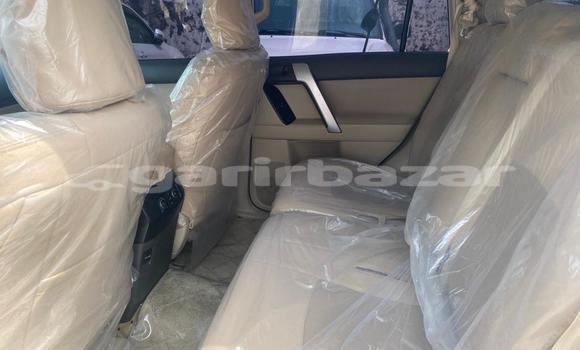 Acheter Import Voiture Toyota Land Cruiser Prado Blanc à Douala, Littoral Cameroon Acheter Import Voiture Toyota Land Cruiser Prado Blanc à Douala, Littoral Cameroon