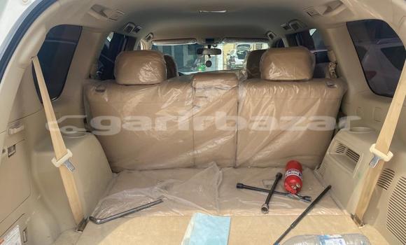 Acheter Import Voiture Toyota Land Cruiser Prado Blanc à Douala, Littoral Cameroon Acheter Import Voiture Toyota Land Cruiser Prado Blanc à Douala, Littoral Cameroon