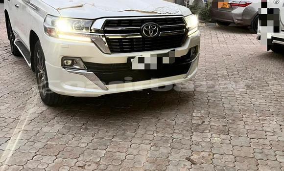 Acheter Import Voiture Toyota Land Cruiser Blanc à Douala, Littoral Cameroon Acheter Import Voiture Toyota Land Cruiser Blanc à Douala, Littoral Cameroon