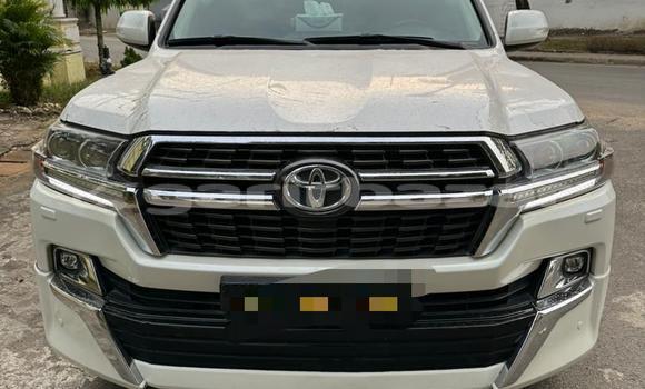 Acheter Import Voiture Toyota Land Cruiser Blanc à Douala, Littoral Cameroon Acheter Import Voiture Toyota Land Cruiser Blanc à Douala, Littoral Cameroon