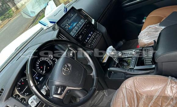 Acheter Import Voiture Toyota Land Cruiser Blanc à Douala, Littoral Cameroon Acheter Import Voiture Toyota Land Cruiser Blanc à Douala, Littoral Cameroon
