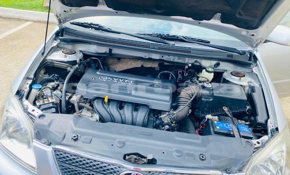 Sayi Na hannu Toyota Corolla Azurfa Mota in Douala a Ƙasar Kamaru Sayi Na hannu Toyota Corolla Azurfa Mota in Douala a Ƙasar Kamaru