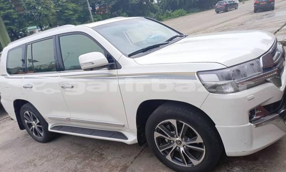 Acheter Import Voiture Toyota Land Cruiser Blanc à Douala, Littoral Cameroon
