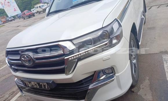 Sayi Imported Toyota Land Cruiser White Mota in Douala a Ƙasar Kamaru Sayi Imported Toyota Land Cruiser White Mota in Douala a Ƙasar Kamaru