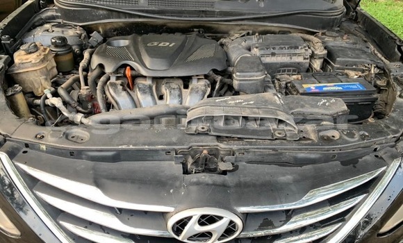 Buy Import Hyundai Sonata Black Car in Douala in Littoral Cameroon Buy Import Hyundai Sonata Black Car in Douala in Littoral Cameroon