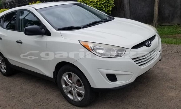 Buy Import Hyundai Tucson White Car in Douala in Littoral Cameroon Buy Import Hyundai Tucson White Car in Douala in Littoral Cameroon