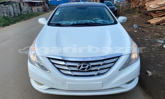 Buy Import Hyundai Sonata White Car in Douala in Littoral Cameroon