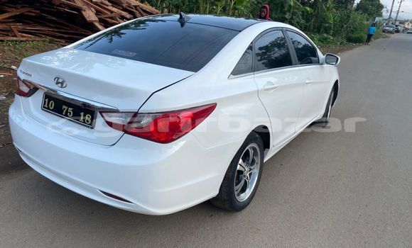 Buy Import Hyundai Sonata White Car in Douala in Littoral Cameroon Buy Import Hyundai Sonata White Car in Douala in Littoral Cameroon