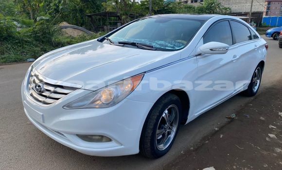 Buy Import Hyundai Sonata White Car in Douala in Littoral Cameroon Buy Import Hyundai Sonata White Car in Douala in Littoral Cameroon