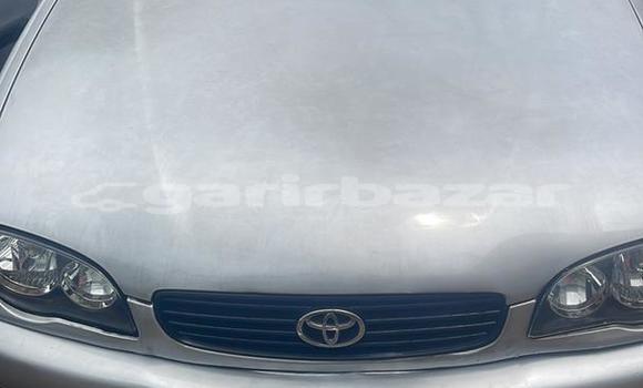 Buy Import Toyota Corolla II Silver Car in Douala in Littoral Cameroon