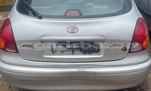 Sayi Imported Toyota Corolla II Azurfa Mota in Douala a Ƙasar Kamaru Sayi Imported Toyota Corolla II Azurfa Mota in Douala a Ƙasar Kamaru