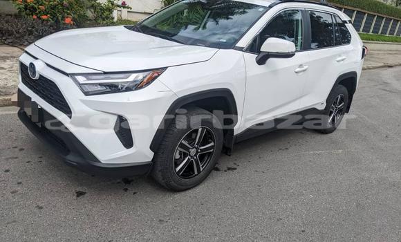 Acheter Import Voiture Toyota RAV4 Blanc à Douala, Littoral Cameroon