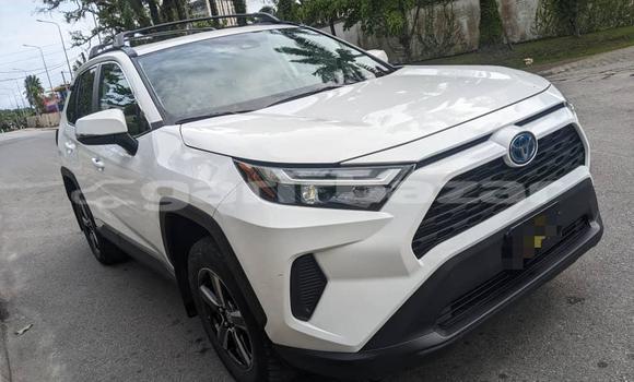 Buy Import Toyota RAV4 White Car in Douala in Littoral Cameroon Buy Import Toyota RAV4 White Car in Douala in Littoral Cameroon
