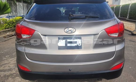 Buy Import Hyundai Tucson Brown Car in Douala in Littoral Cameroon Buy Import Hyundai Tucson Brown Car in Douala in Littoral Cameroon