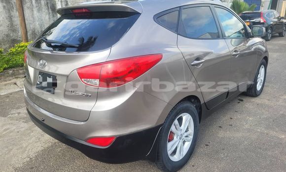 Buy Import Hyundai Tucson Brown Car in Douala in Littoral Cameroon Buy Import Hyundai Tucson Brown Car in Douala in Littoral Cameroon