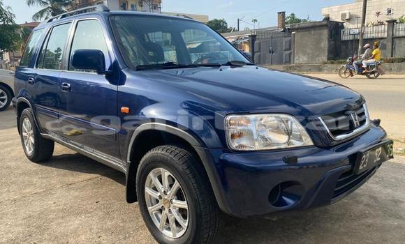 Acheter Import Voiture Honda CR–V Bleu à Douala, Littoral Cameroon Acheter Import Voiture Honda CR–V Bleu à Douala, Littoral Cameroon