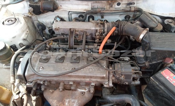 Buy Used Toyota Starlet White Car in Yaounde in Central Cameroon Buy Used Toyota Starlet White Car in Yaounde in Central Cameroon