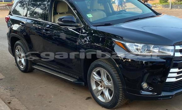 Buy Import Toyota Highlander Black Car in Yaounde in Central Cameroon Buy Import Toyota Highlander Black Car in Yaounde in Central Cameroon