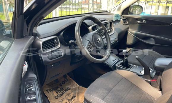 Sayi Na hannu Kia Sorento Black Mota in Douala a Ƙasar Kamaru Sayi Na hannu Kia Sorento Black Mota in Douala a Ƙasar Kamaru