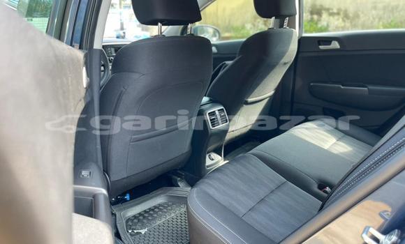Buy Used Kia Sportage Blue Car in Douala in Littoral Cameroon Buy Used Kia Sportage Blue Car in Douala in Littoral Cameroon