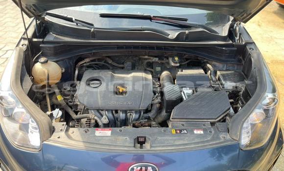 Buy Used Kia Sportage Blue Car in Douala in Littoral Cameroon Buy Used Kia Sportage Blue Car in Douala in Littoral Cameroon