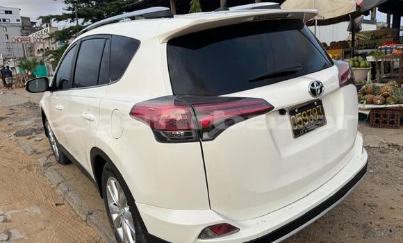 Buy Used Toyota RAV4 White Car in Douala in Littoral Cameroon Buy Used Toyota RAV4 White Car in Douala in Littoral Cameroon