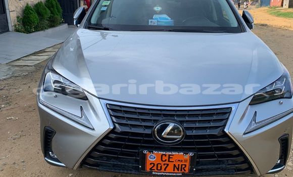 Acheter Occasion Voiture Lexus NX Gris à Douala, Littoral Cameroon