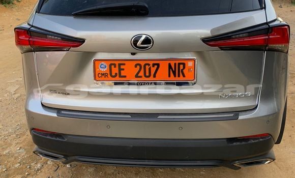 Sayi Na hannu Lexus NX Azurfa Mota in Douala a Ƙasar Kamaru Sayi Na hannu Lexus NX Azurfa Mota in Douala a Ƙasar Kamaru