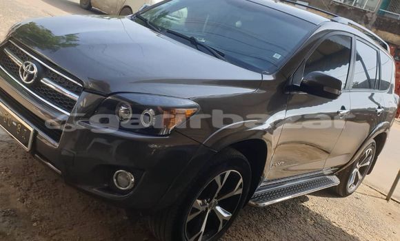 Acheter Occasion Voiture Toyota RAV4 Gris à Douala, Littoral Cameroon