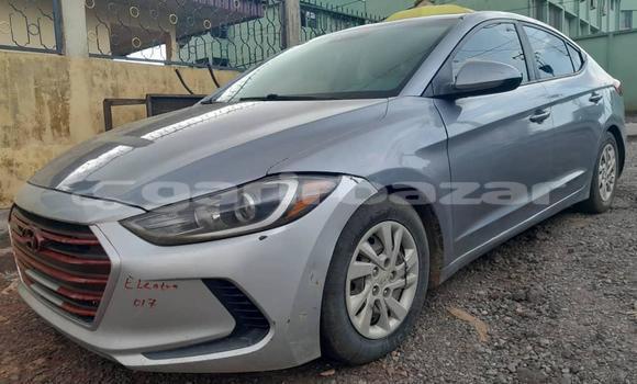 Buy Used Hyundai Elantra Silver Car in Douala in Littoral Cameroon