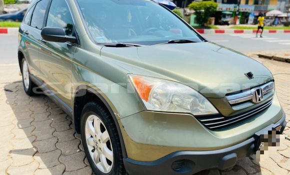 Buy Import Honda CR–V Beige Car in Douala in Littoral Cameroon Buy Import Honda CR–V Beige Car in Douala in Littoral Cameroon