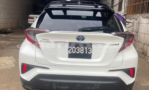 Acheter Import Voiture Toyota C-HR Blanc à Douala, Littoral Cameroon Acheter Import Voiture Toyota C-HR Blanc à Douala, Littoral Cameroon