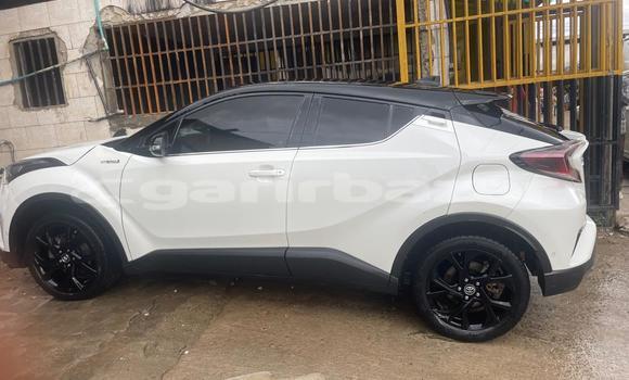 Acheter Import Voiture Toyota C-HR Blanc à Douala, Littoral Cameroon Acheter Import Voiture Toyota C-HR Blanc à Douala, Littoral Cameroon