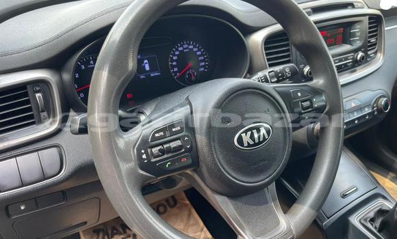 Acheter Occasion Voiture Kia Sorento Noir à Douala, Littoral Cameroon Acheter Occasion Voiture Kia Sorento Noir à Douala, Littoral Cameroon