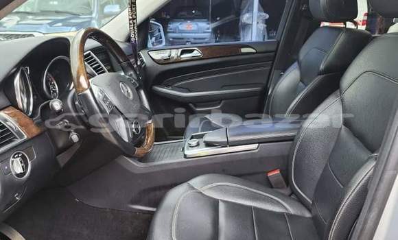 Buy Used Mercedes Viano Silver Car in Douala in Littoral Cameroon Buy Used Mercedes Viano Silver Car in Douala in Littoral Cameroon