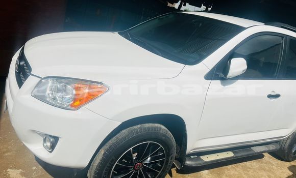 Acheter Import Voiture Toyota RAV4 Blanc à Douala, Littoral Cameroon