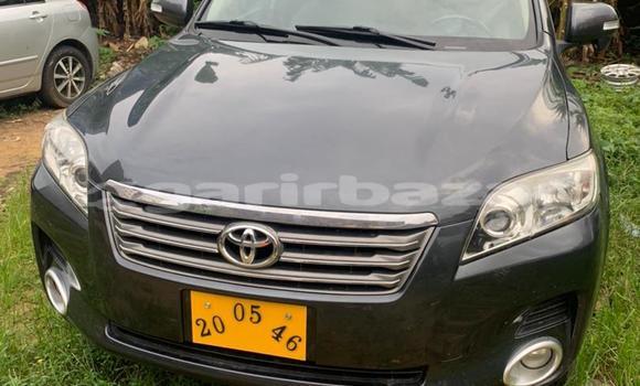 Buy Used Toyota Vanguard Black Car in Douala in Littoral Cameroon