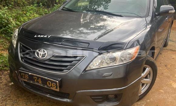 Acheter Occasion Voiture Toyota Camry Gris à Douala, Littoral Cameroon Acheter Occasion Voiture Toyota Camry Gris à Douala, Littoral Cameroon