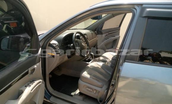 Acheter Occasion Voiture Hyundai Santa Fe Gris à Douala, Littoral Cameroon