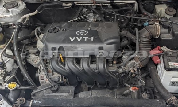 Buy Used Toyota Allex Silver Car in Douala in Littoral Cameroon Buy Used Toyota Allex Silver Car in Douala in Littoral Cameroon