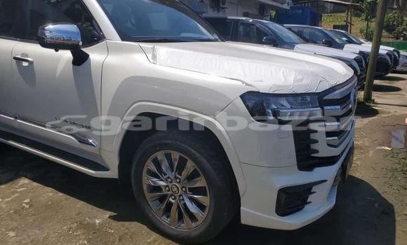 Sayi Sabo Toyota Land Cruiser White Mota in Douala a Ƙasar Kamaru Sayi Sabo Toyota Land Cruiser White Mota in Douala a Ƙasar Kamaru