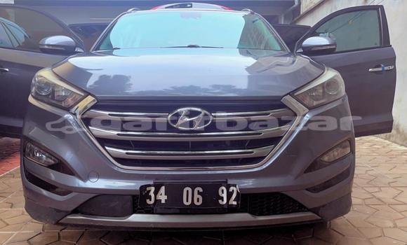 Acheter Neuf Voiture Hyundai Tucson Gris à Douala, Littoral Cameroon Acheter Neuf Voiture Hyundai Tucson Gris à Douala, Littoral Cameroon