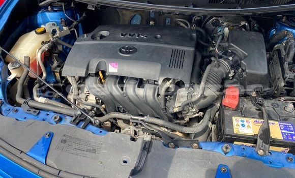 Buy New Toyota Auris Blue Car in Douala in Littoral Cameroon Buy New Toyota Auris Blue Car in Douala in Littoral Cameroon