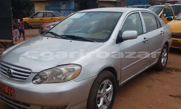 Acheter Occasion Voiture Toyota Corolla Autre à Yaoundé, Central Cameroon