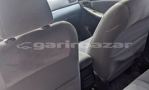 Buy Import Toyota Allex Silver Car in Douala in Littoral Cameroon Buy Import Toyota Allex Silver Car in Douala in Littoral Cameroon