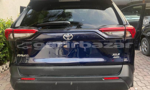 Buy New Toyota RAV4 Blue Car in Yaounde in Central Cameroon Buy New Toyota RAV4 Blue Car in Yaounde in Central Cameroon